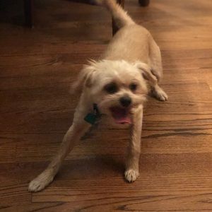 Meet your Posher, Shauna